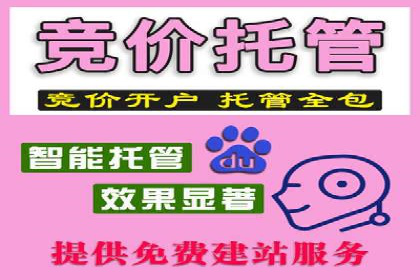 竞价广告的魔力：看XX公司如何逆袭市场